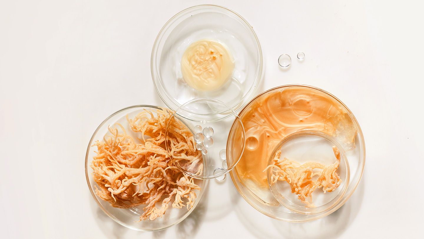 The Benefits of Adding Sea Moss Gel to Your Diet