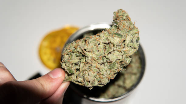  The Convenience and Benefits of Online Dispensaries