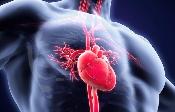 Dr Jose Jacob – Comprehensive Cardiovascular Care for Patients in Ocala, Florida
