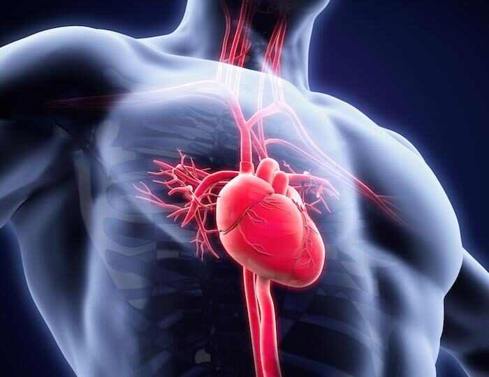 Dr Jose Jacob – Comprehensive Cardiovascular Care for Patients in Ocala, Florida