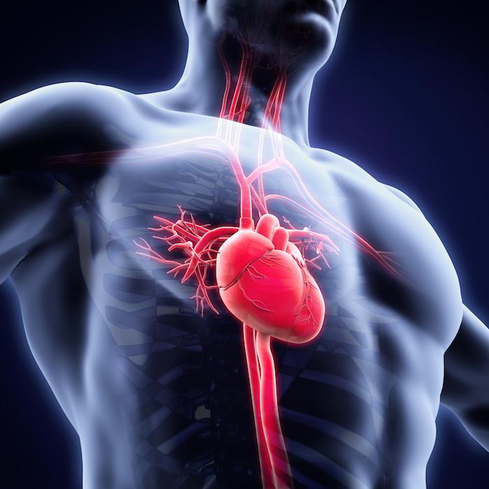 Dr Jose Jacob – Comprehensive Cardiovascular Care for Patients in Ocala, Florida
