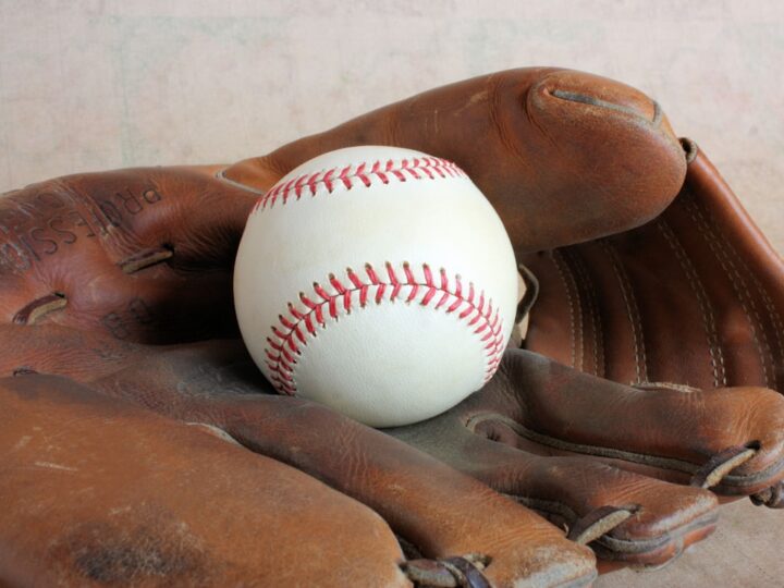 From Minor League Success to Major Business Goals: A Strategic Career Evolution