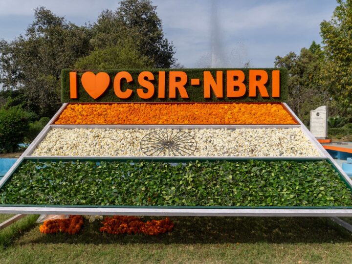 CSIR-UGC NET results: Clear insights on June 2026 outcomes