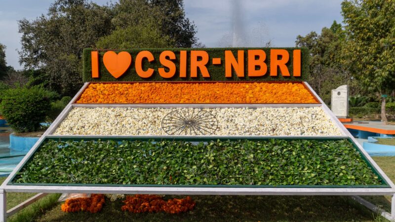 CSIR-UGC NET results: Clear insights on June 2026 outcomes