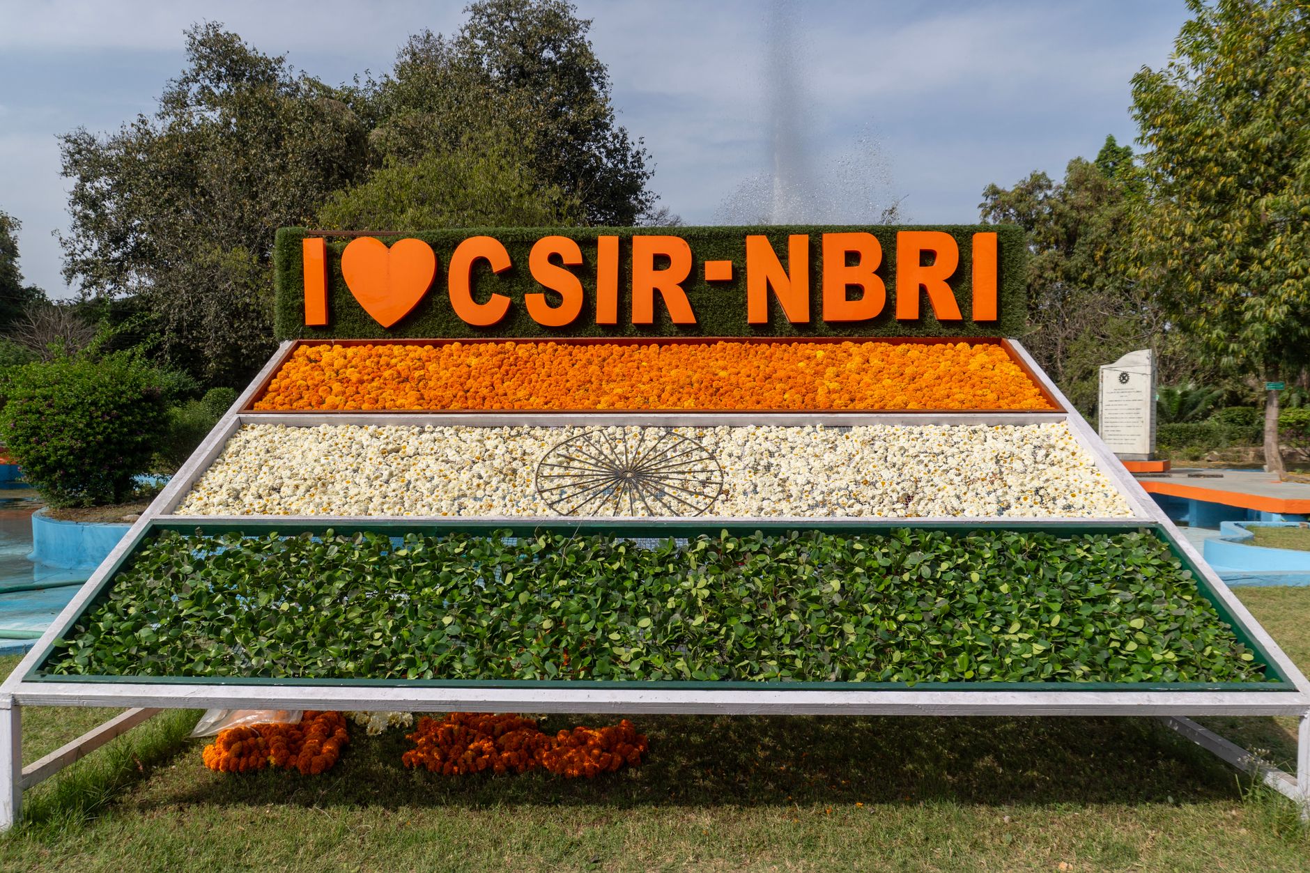 CSIR-UGC NET results: Clear insights on June 2026 outcomes