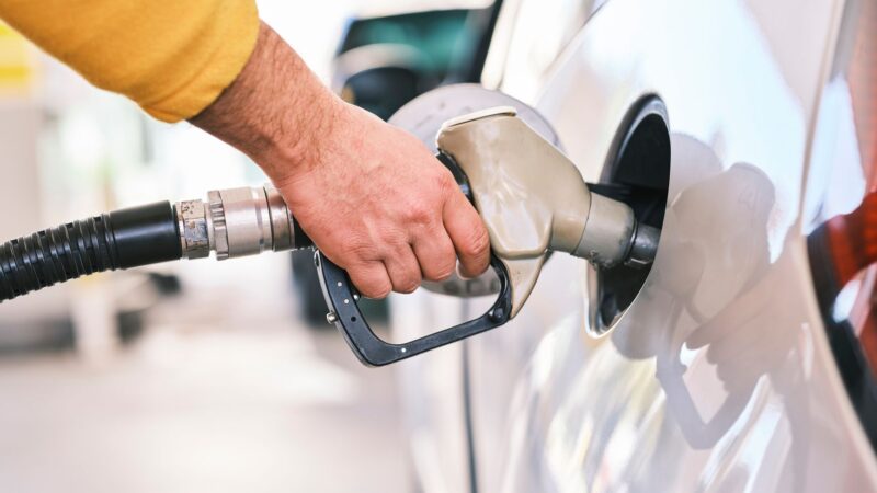 Oil Prices Rebound: Battered Government Bonds See Gains