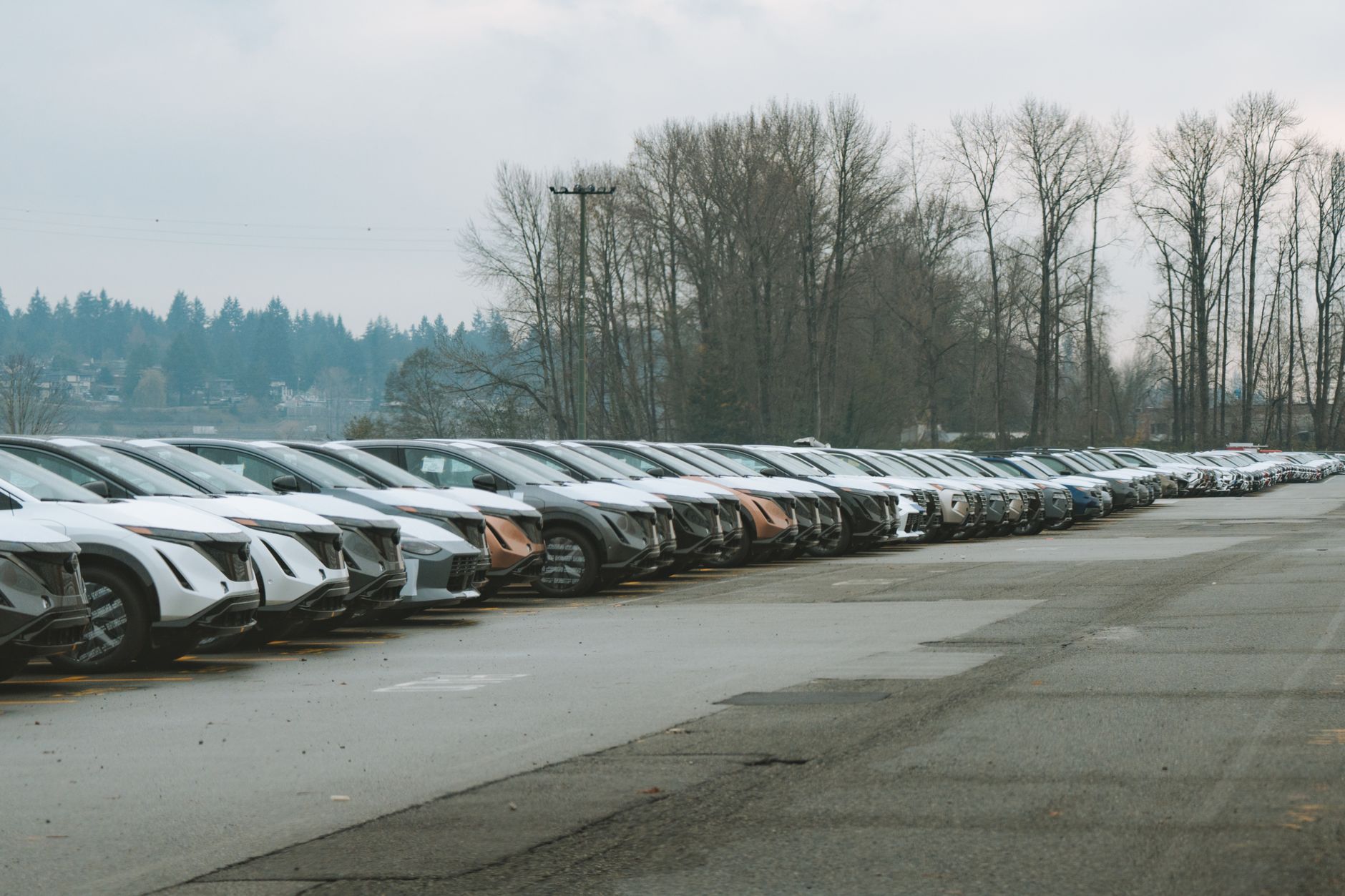 Stellantis new cars: The Best Investment for India’s Future